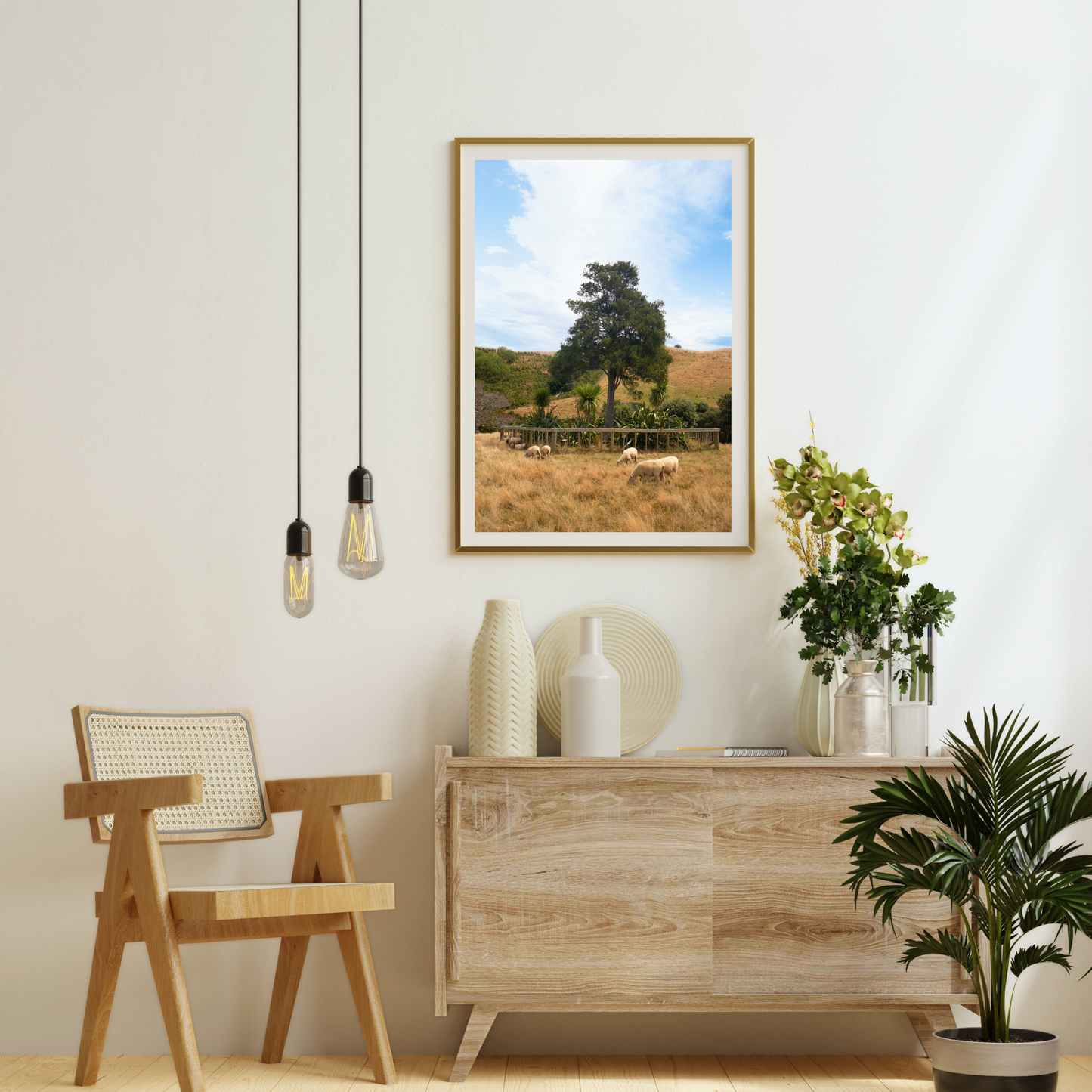 New Zealand Farm Sheep