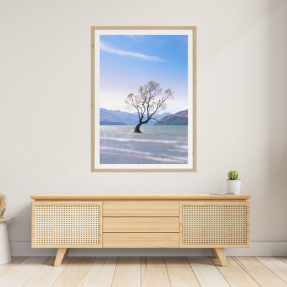 That Wanaka Tree